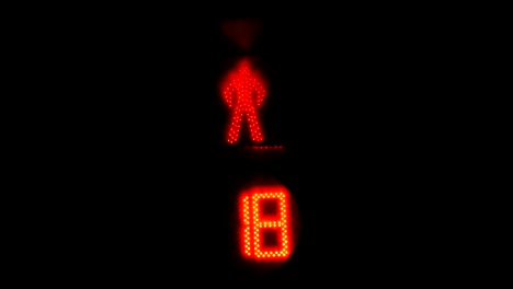 traffic light sign in night