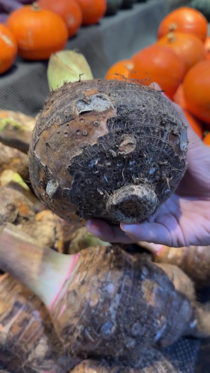 Hand Holding Fresh Taro Root in Grocery Store