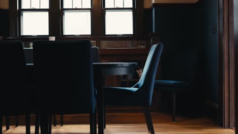 a navy chair sitting around a dining table inside of a home with wooden floors