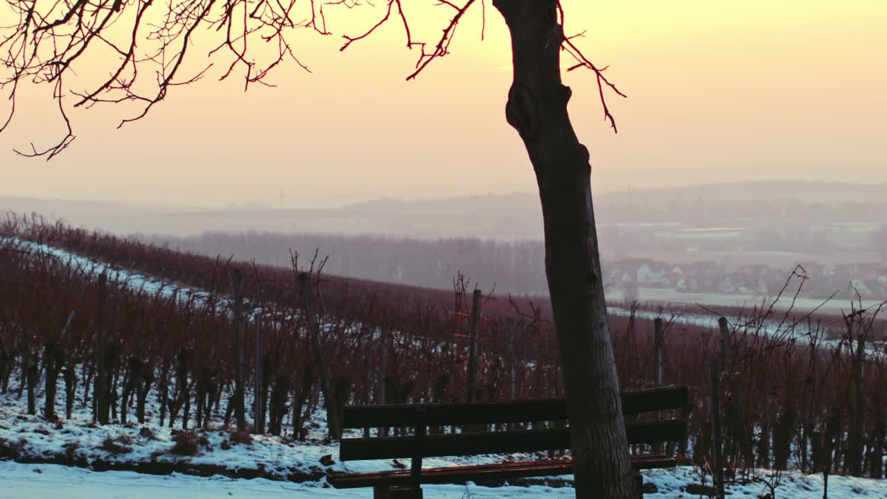 나무와 벤치가 있는 넓은 들판의 멋진 전망