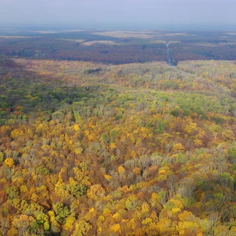 Panoramic view of autumn scenery. Beautiful woods in fall season. Colorful trees of forests. Nature background in the morning. Aerial view.