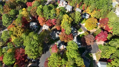 drone flyover of neighborhood fall leaves changing color