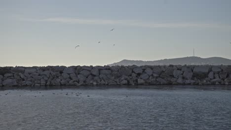 Pájaros-Y-Rompeolas,-Formando-Millones-De-Rociadores