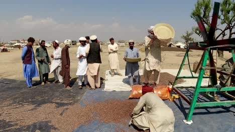 breezy chilgoza nut cleaning trick