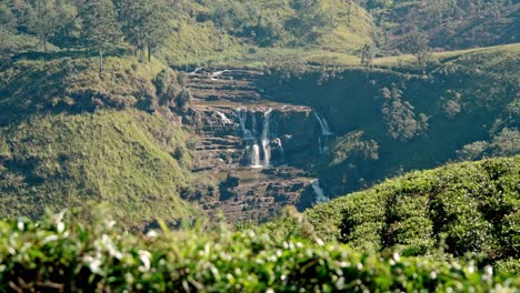 footage of lush green tea plantations sprawling across the rolling hills of nuwara eliya, with the cascading waters of saint clair’s falls visible in the background.