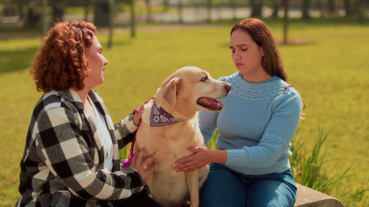 Two Women Petting a Labrador Dog in a Park