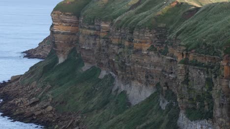 slow panning shot of birds using the cliff face to house their nests in yorkshire