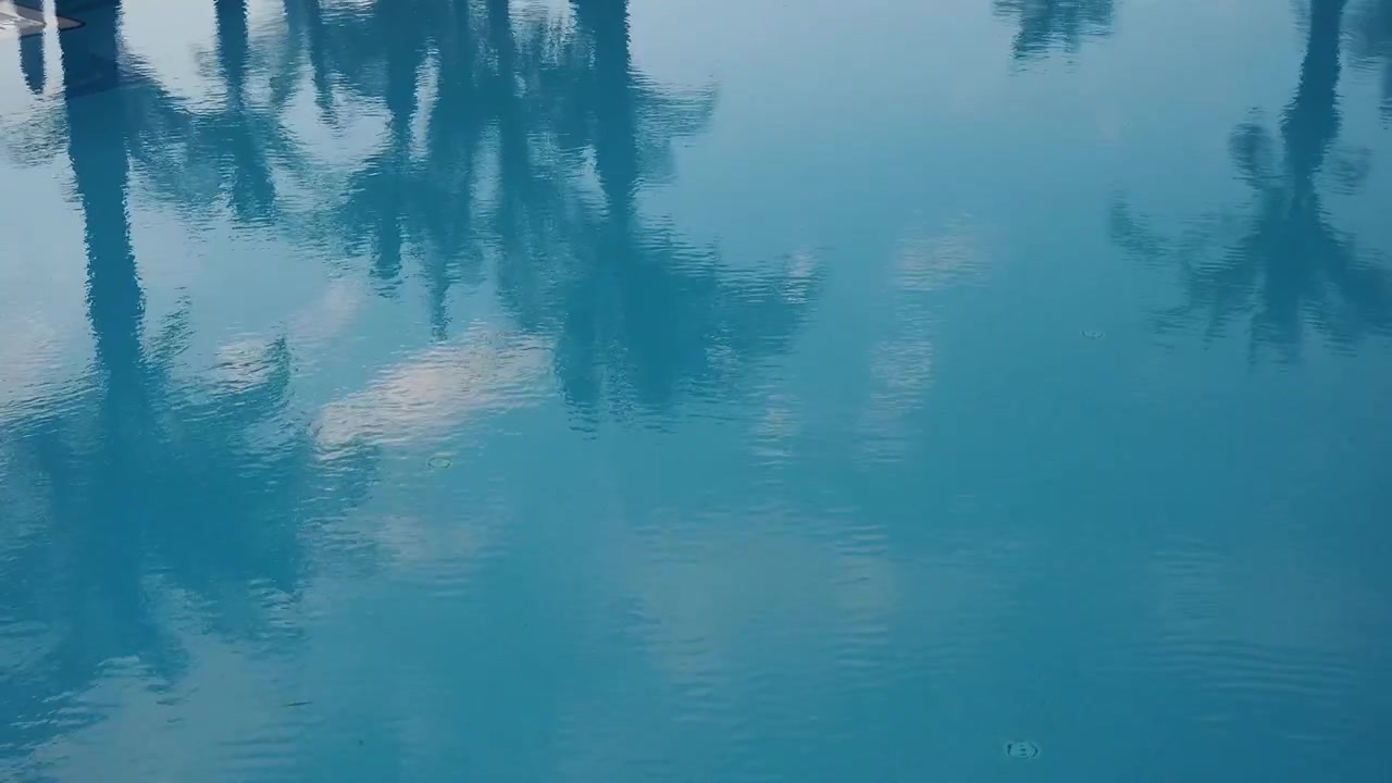 Weerspiegelingen van palmboom en lucht op blauw zwembadwater
