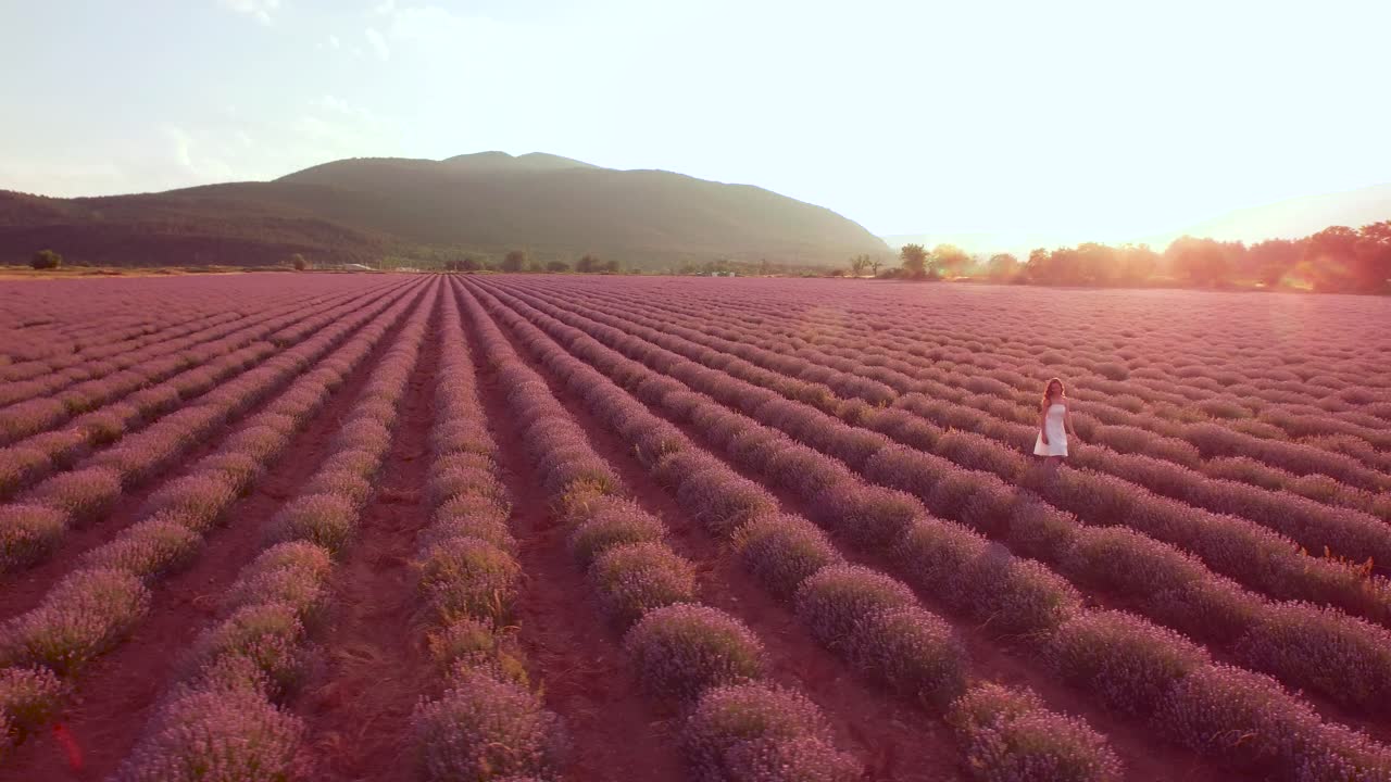 una mujer con un vestido blanco caminando por un campo de lavanda al atardecer