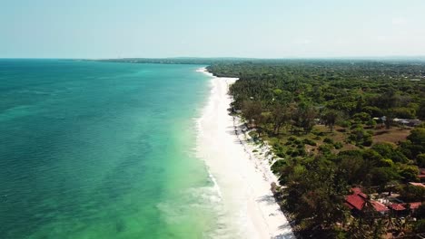 dense forest and white sand seashore at kilifi bay beach resort in coast of kenya, east africa