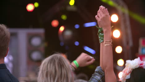 back view of friends in the audience at a music festival