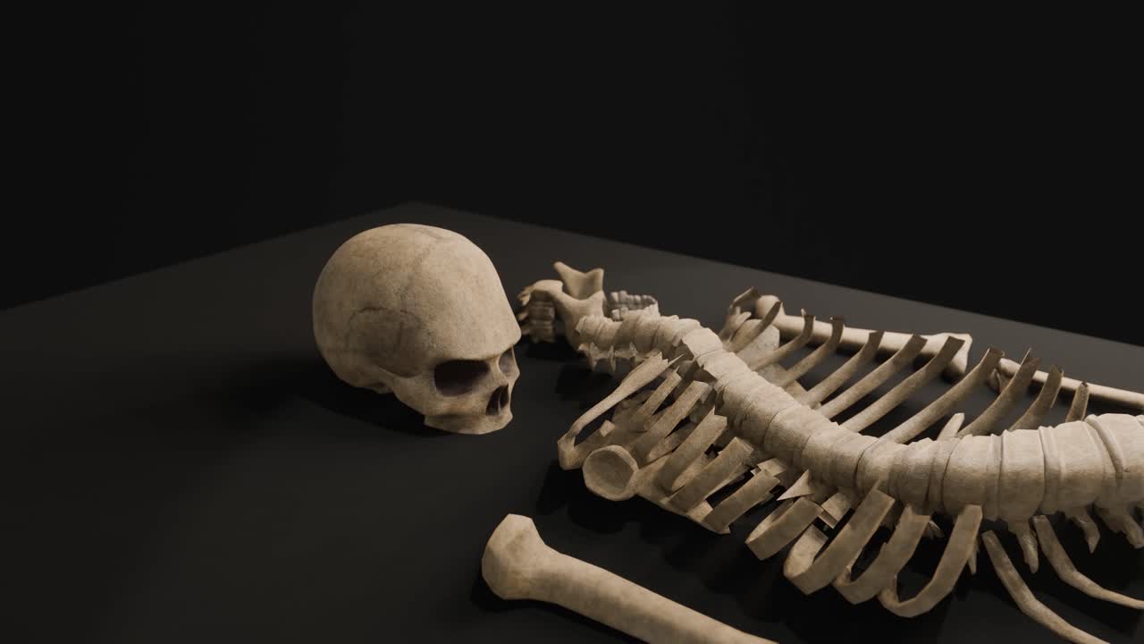 3D animation showing a camera moving towards the skull of a skeleton being examined on a table