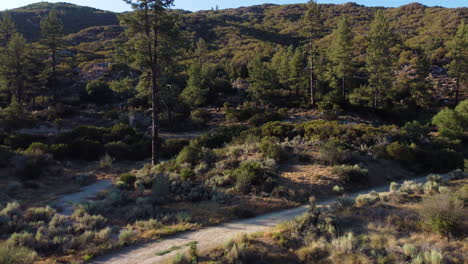 Gravel-road-and-mountain-covered-in-dense-forest,-low-angle-fly-towards