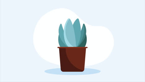 planta de interior en la animación de la olla marrón