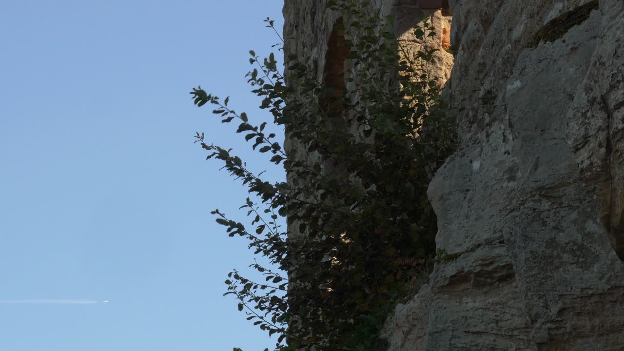 Vegetazione che cresce dalla parete in pietra del Castello di Gräfenstein sotto un cielo azzurro e limpido