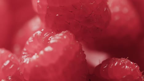 Micro video of close up of raspberries with copy space