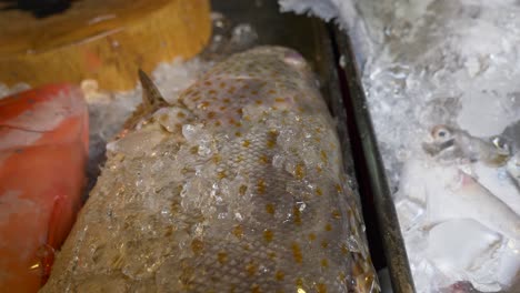 ocean fish on ice at seafood market thailand asia