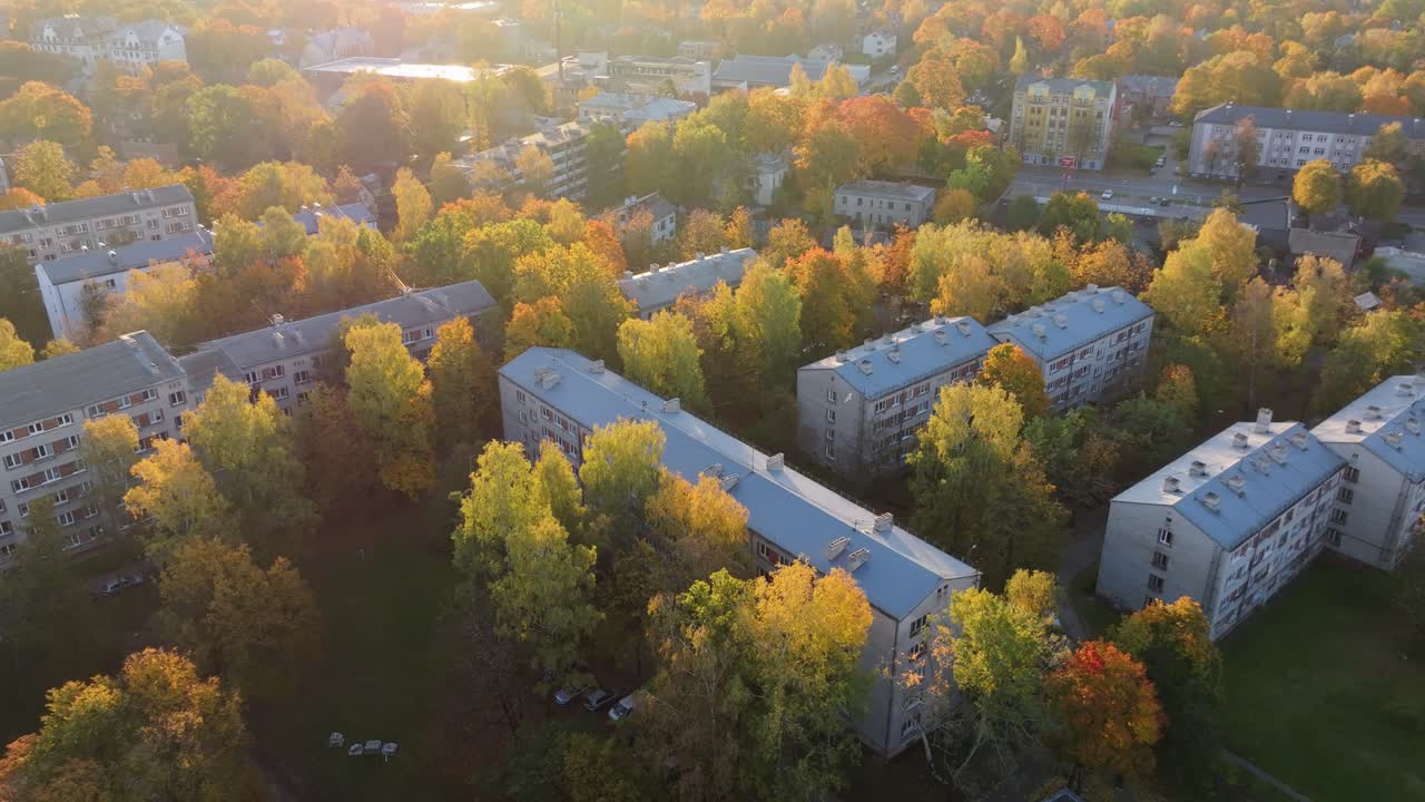 Urban residential area with autumn trees, sunlight brings out the vibrant colors