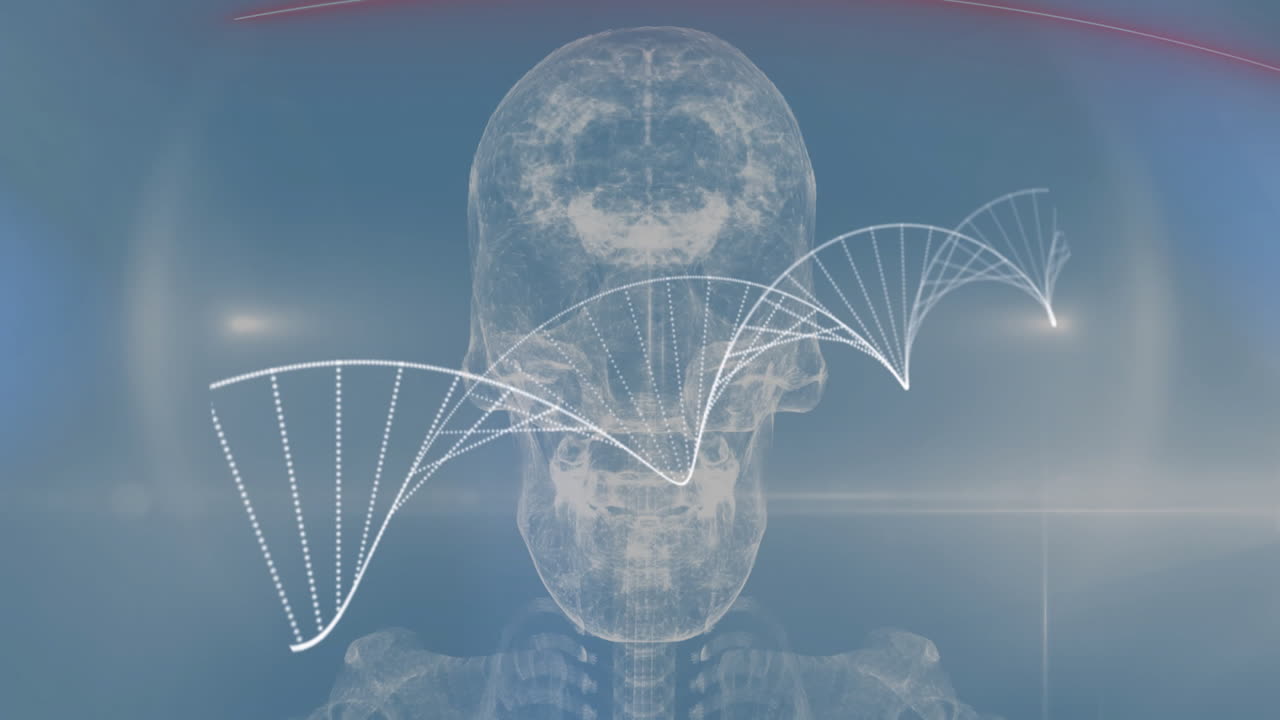 투명한 인간의 두개골과 척추 위에 살아있는 dna 가닥