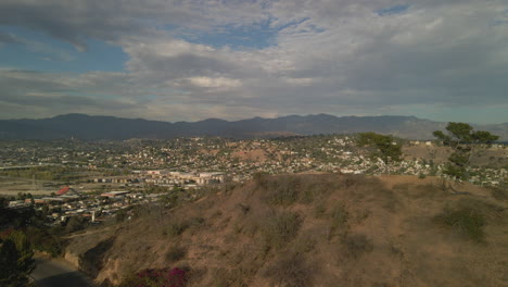 Natur-Im-Elysian-Park-In-Los-Angeles