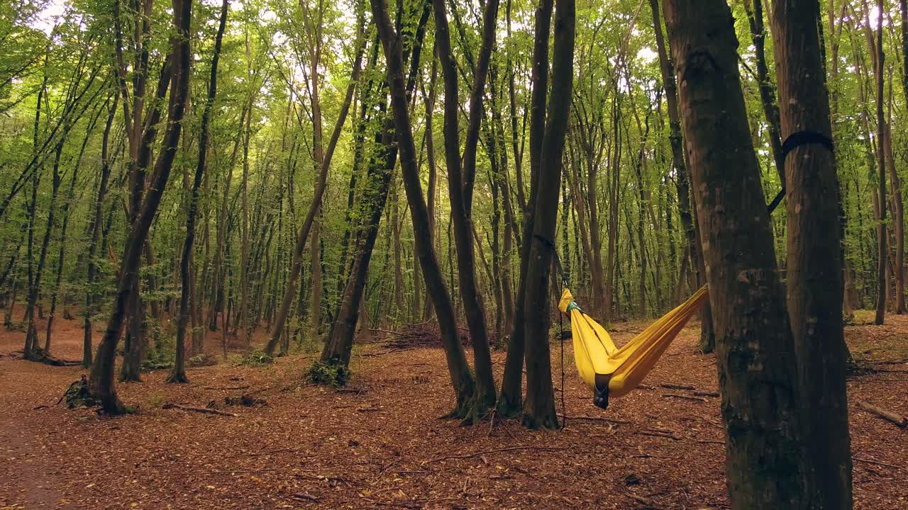 zoom lento y suave de alguien acostado en una hamaca en el bosque