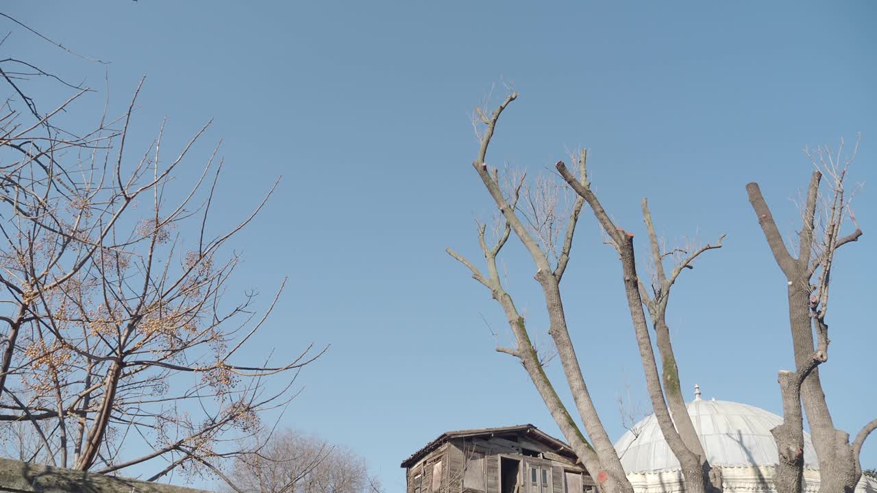 그 뒤에  지붕이 있는 시골 목조 집, 둘 다 회색 하늘을 배경으로 벌거벗은 나무로 둘러싸여 있습니다.