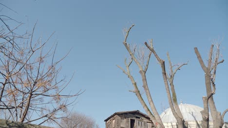 a rustic wooden house with a dome roof behind it, both surrounded by bare trees against a gray sky.