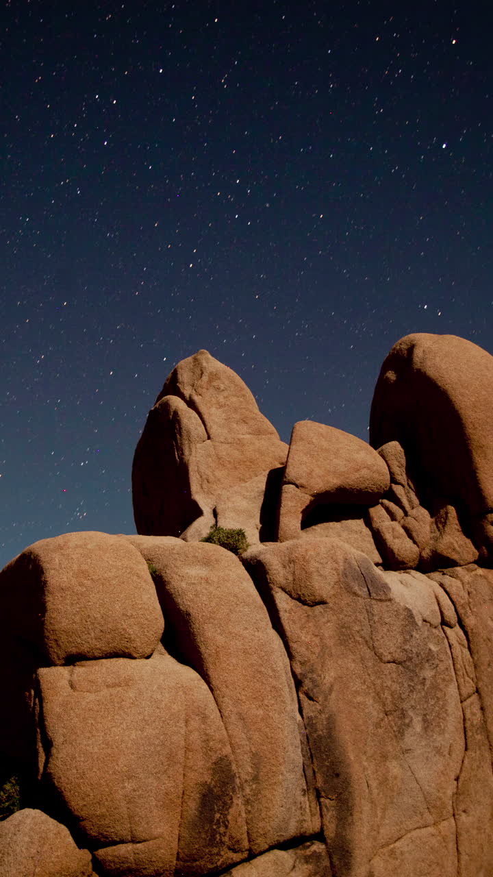 Joshua Tree Nationalpark, Californien, USA i højformat
