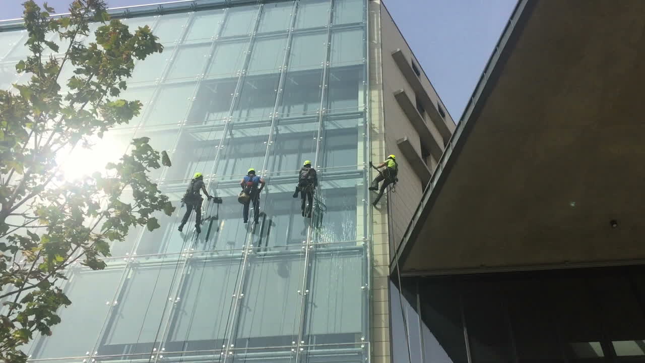trabajadores colgando de cuerdas, limpiando el exterior de un edificio de oficinas