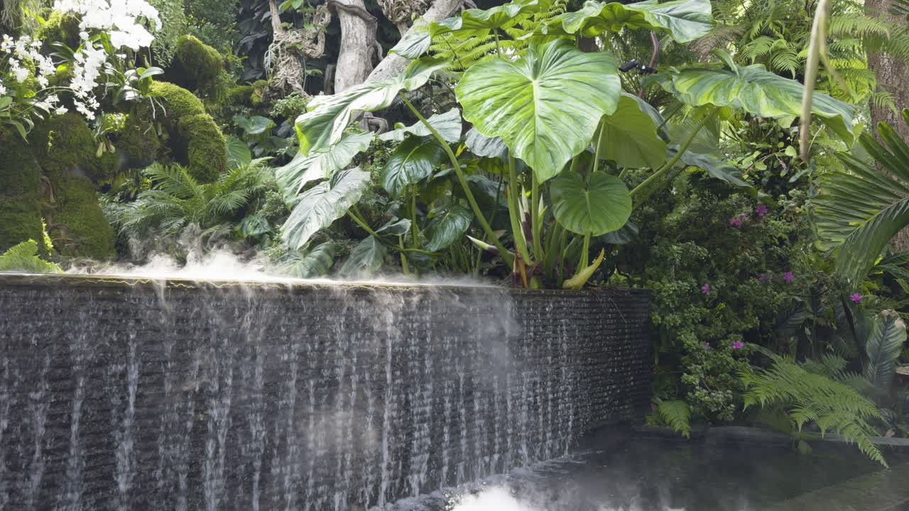 Mist or fog drips slowly over tiled waterfall surrounded by tropical plants in Cloud Forest’s lush indoor garden