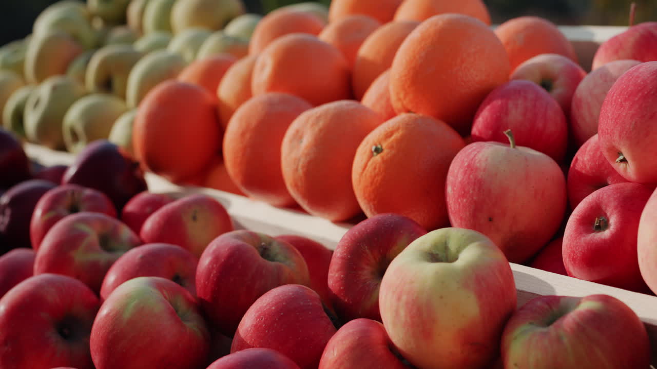 농민 시장 카운터에 잘 익은 과일