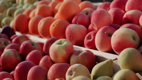 ripe fruit on the counter of the farmers market