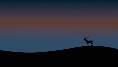 deer silhouette on a hill at twilight