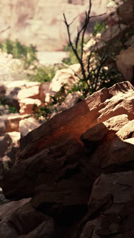 closeup of rocks in a desert canyon