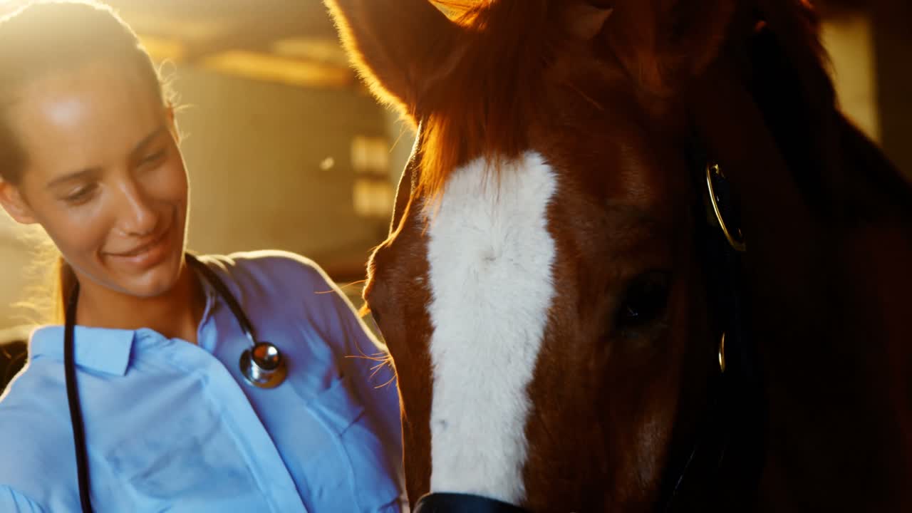 médico veterinario examinando a un caballo 4k