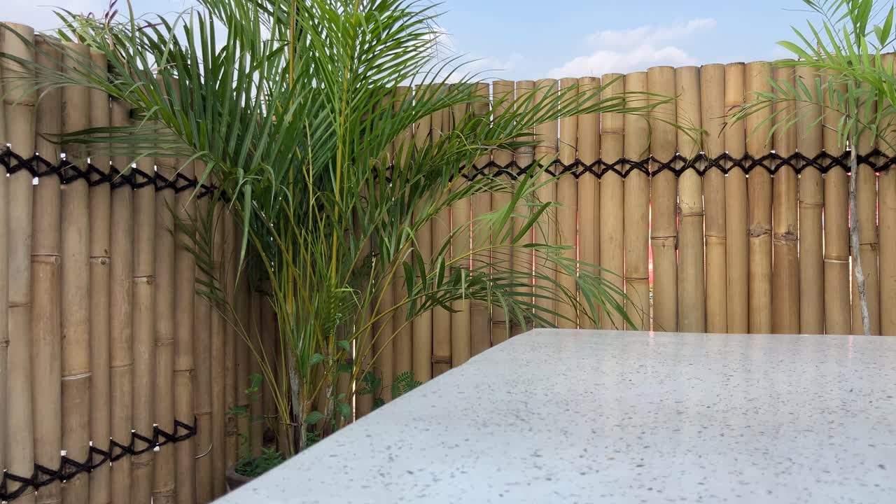 mesa de terrazo en el patio trasero con valla de bambú y plantas de palma ornamental