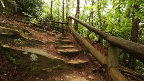 nature hike at natural bridge state park, kentucky