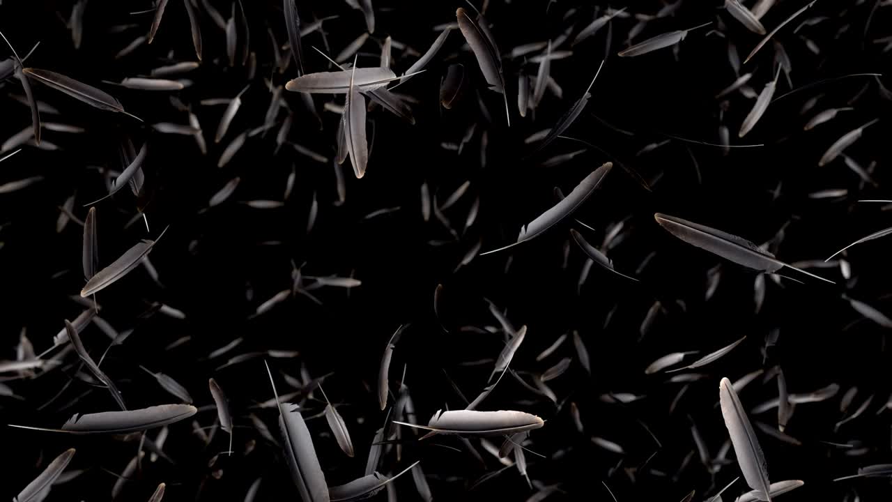 Falling feathers with alpha channel