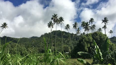 las islas rarotonga cook