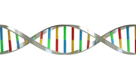 dna molecules