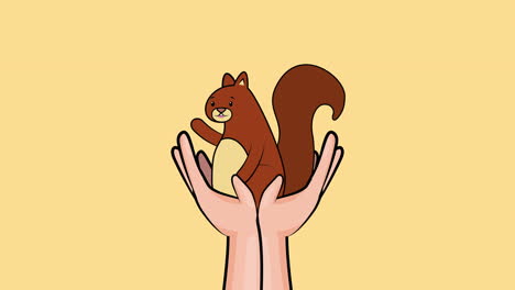 hello autumn season with hands lifting chipmunk animation