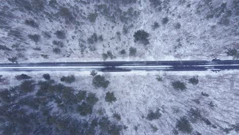 vista aérea de arriba hacia abajo del camino nevado entre los árboles durante la temporada de invierno - toma aérea de drones