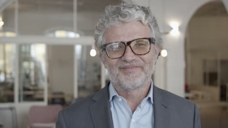 happy handsome grey haired businessman wearing glasses