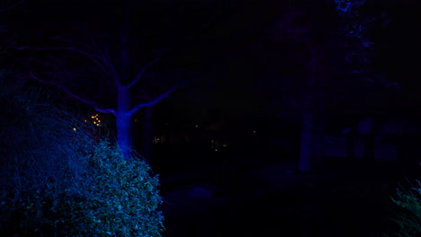 laser light show in a park