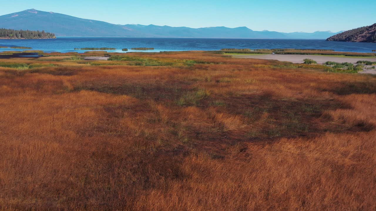 полет над водно-болотной средой обитания в конце озера кламатх в южном орегоне