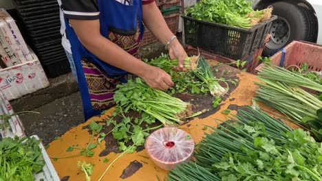 person sorting and trimming green vegetables