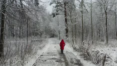 drone following a lone woman in red coat going to the forest on a cold winter day - back view, tracking shot