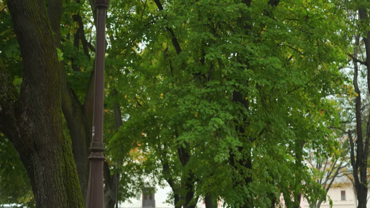 Park bench moody overcast weather, early autumn