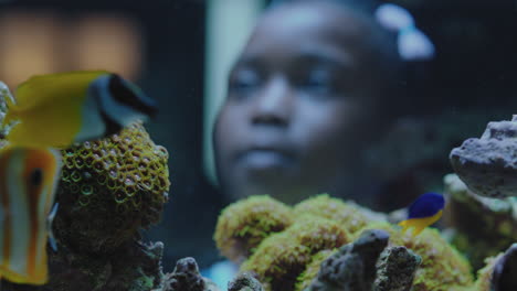 black girl looking at fish in aquarium curious child watching colorful sea life swimming in tank learning about marine animals in underwater ecosystem inquisitive kid at oceanarium