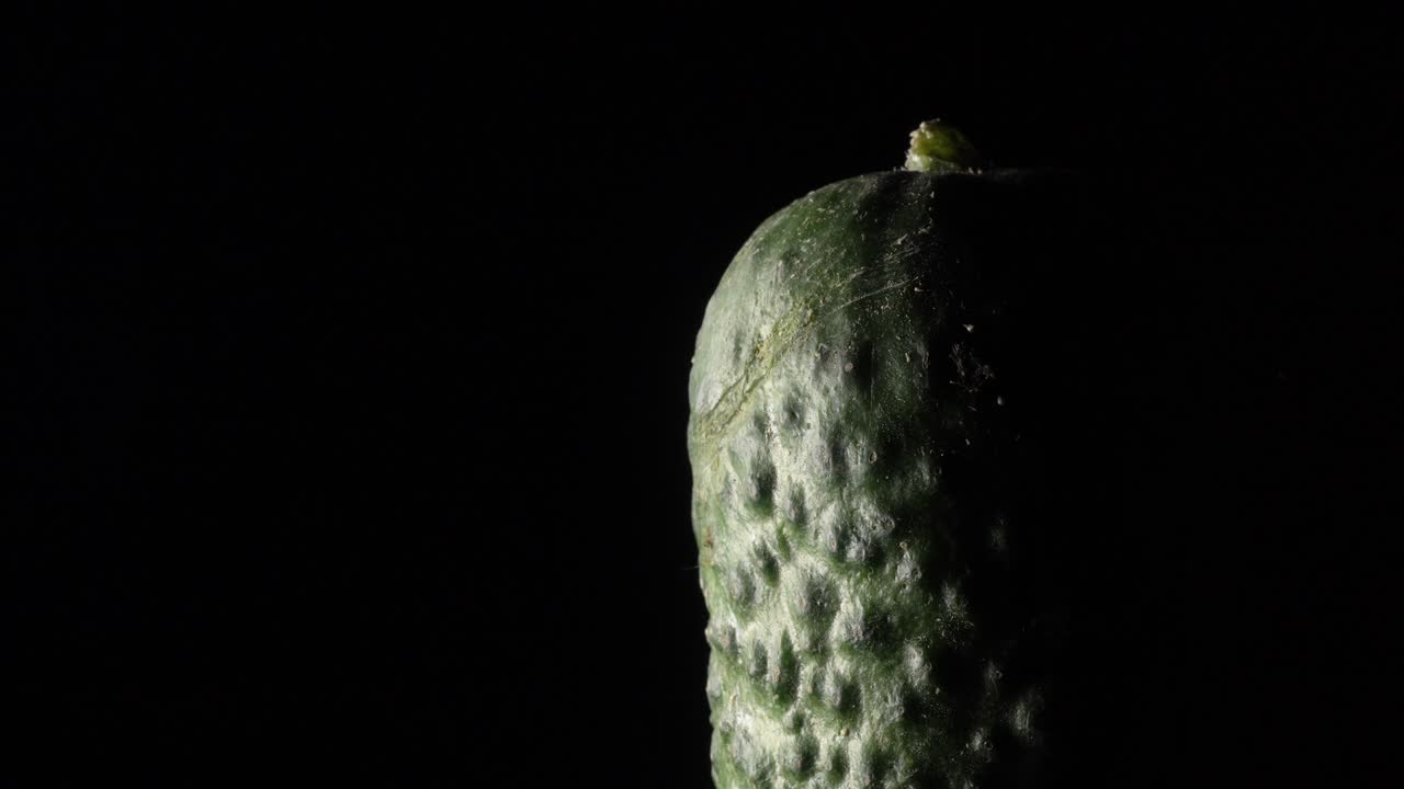 검은 바탕에 회전하는 호박.